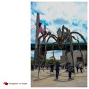 스페인 빌바오 구겐하임 미술관 거미 이미지