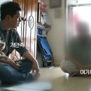 나라애견 이미지