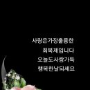 우리꽃