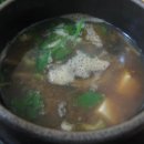 황토우렁이 이미지