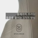 브리즈성형외과 네이버블로그