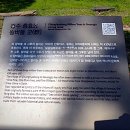 충효큰마을 이미지