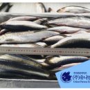 주식회사 유니언