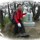 정상 정자 이미지