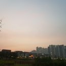 도트스터디카페 이미지