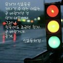 신호등 - 해운대구 양운로80번길 10 | 신호등