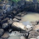 광령2리 복지회관 이미지