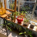 영배의식탁 이미지