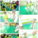 계명석사태권도장 이미지