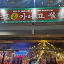 산호포차 이미지