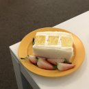 동방서림 | [공지] 너에겐 나만 아는 얘기가 있어 저 태양빛에 가려진 별처럼(2026.02)