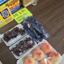 쭌이야기 | [속초과일] 산지직송 프리미엄 과일 전문점 속초과일가게 쭌과일가게 후기