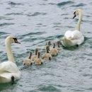 지원정보주식회사 이미지