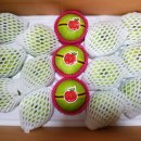 태송농장 이미지