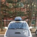 다팔아요 이미지
