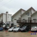 까치와 산토리나 이미지