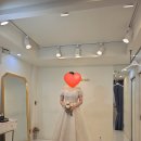 리디아플라워 | [결혼준비] 리디아브라이드 촬영가봉 후기👗(드레스 선택 꿀팁/비즈/미카도실크/오간자실크/유색드레스)