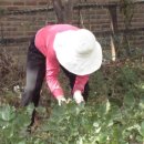 우창한의원 이미지