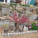 퓌센하우스 이미지