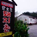 앞오름돼지촌
