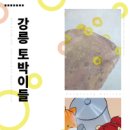 토박이 강원도민일보