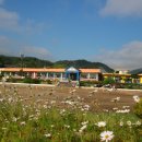 대가초등학교 이미지