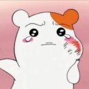 세상모든사랑니치과의원 이미지