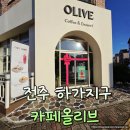 하가목 | 전주 하가지구 카페올리브 공간이 예쁜 카페 추천해요
