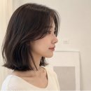 슬로아 네이버블로그