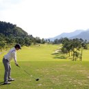 평프로 골프 아카데미 이미지