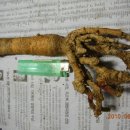 봉곡동142 이미지