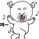 띠울 애견미용 네이버블로그