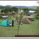 꿈엔들 캠프장 이미지