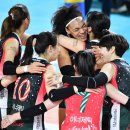 현대인삼 이미지