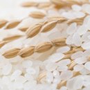 대전엔도내과의원 이미지