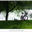 나무그늘 밑의 휴식 이미지