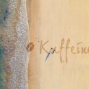 카페인(Kaffeine)