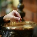 안중장례문화센터 이미지