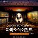 백왕사 | 서울 실내 데이트 빛의시어터 파라오의 이집트 할인 주차 꿀팁