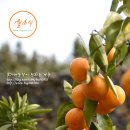 기특이네 농장 이미지