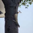 천하인더스트리 | 2024 연말결산