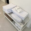 가족독채펜션편한대로 | 제주도 가족 독채 펜션 숙소 그라운드플레이스 서쪽 가성비 풀빌라 후기