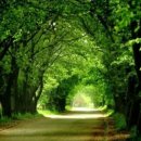 키즈 MMA 주짓수 태권도 이미지