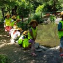 보둠이나눔이어린이집 이미지