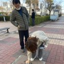 트래블인천협동조합 이미지