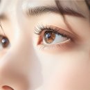 오피움 네이버블로그