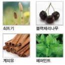 이린헤어 이미지