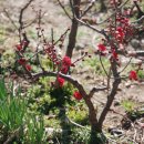 우리 詩 우리 樂 이미지