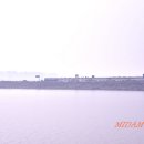 조류생태전시관 이미지