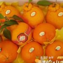 지승농장 이미지